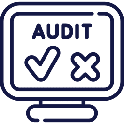 Detailed Website Audit