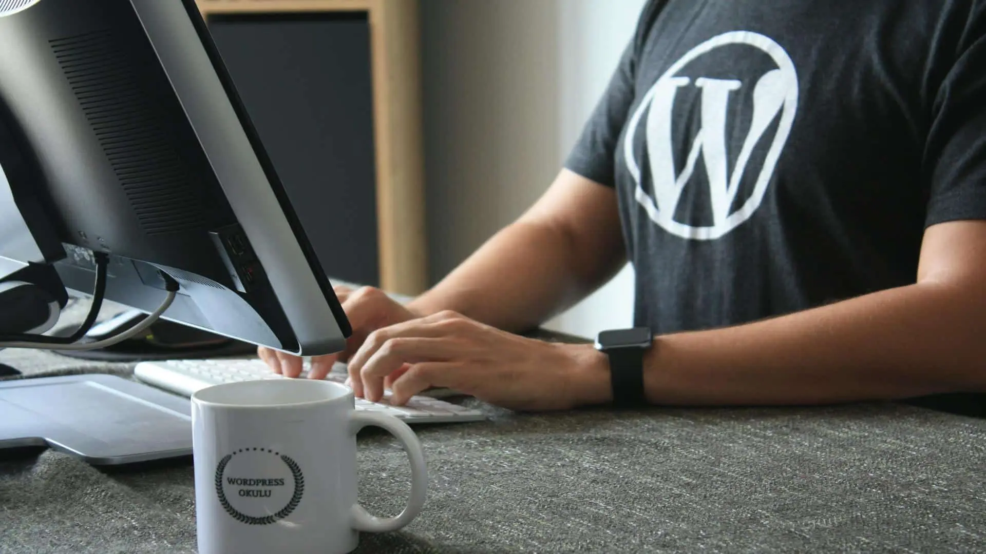 Professional WordPress 